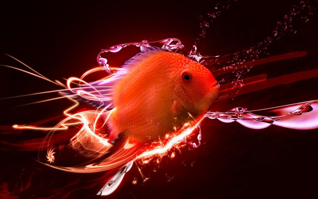 awesome gold fish pic