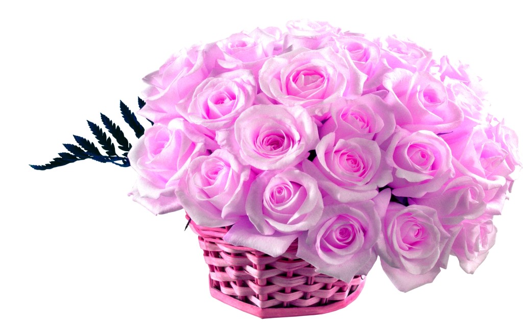 pink rose bouquet