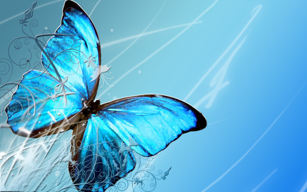 sky blue butterfly
