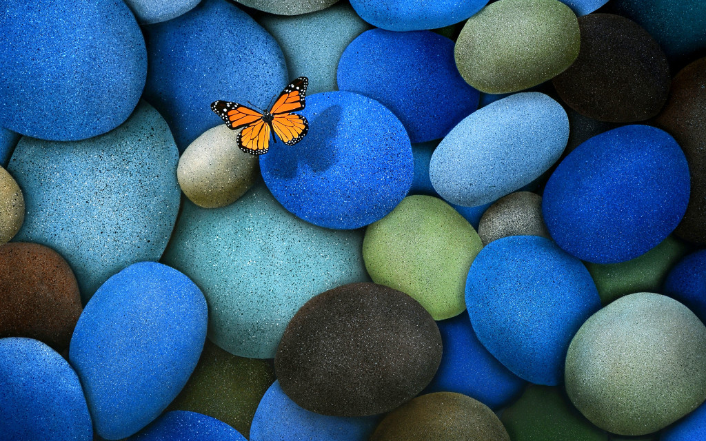 colourful stone with butterfly