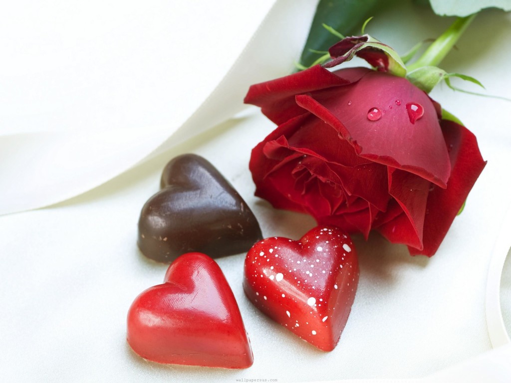 red rose with chocklate