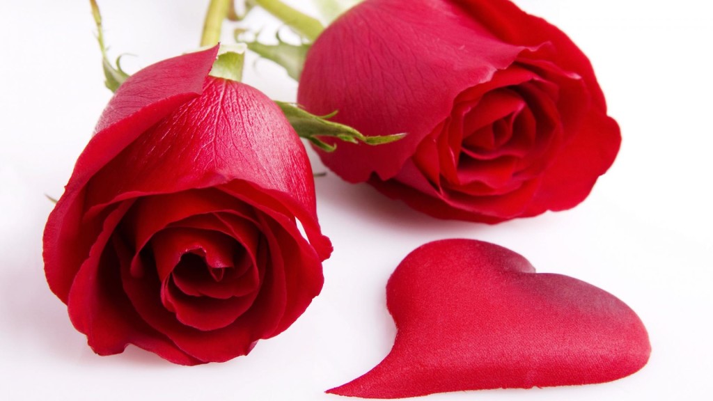 two rosebud love