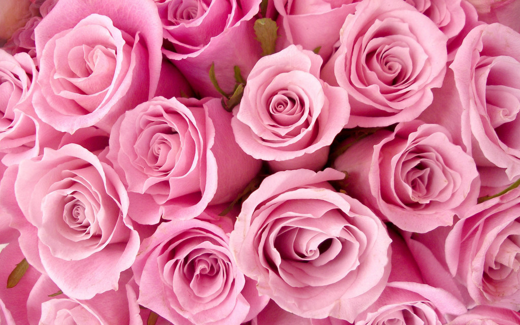 pink rose special bouquet