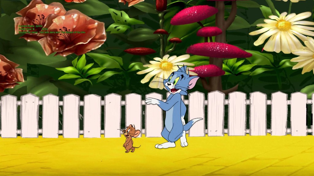 tom and jerry in garden