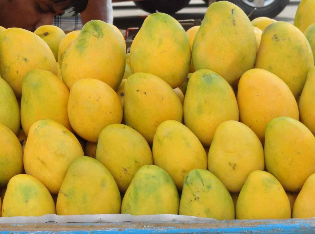 Mango fruit background wallpaper